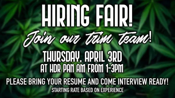 High Desert Relief: Hiring Fair