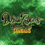High Desert Relief: DOS GRINGOS AT HIGH DESERT RELIEF