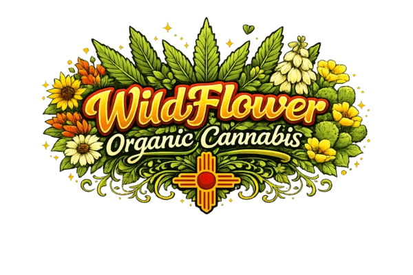 High Desert Relief: Spring is Here & the WildFlower is Blooming