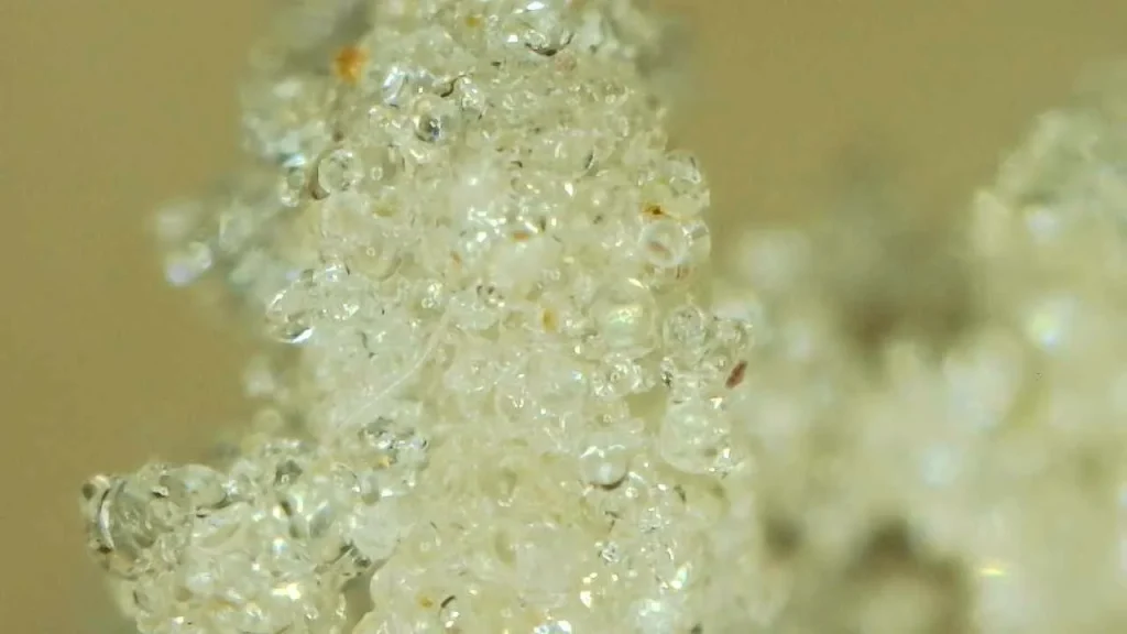 High Desert Relief: The states of hash