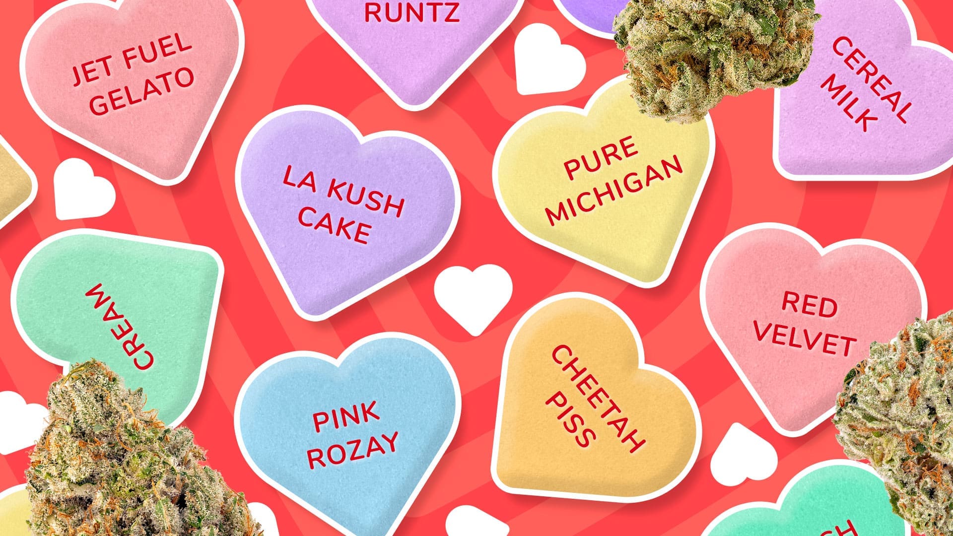 11 weed strains that bang for 2024 and beyond High Desert Relief