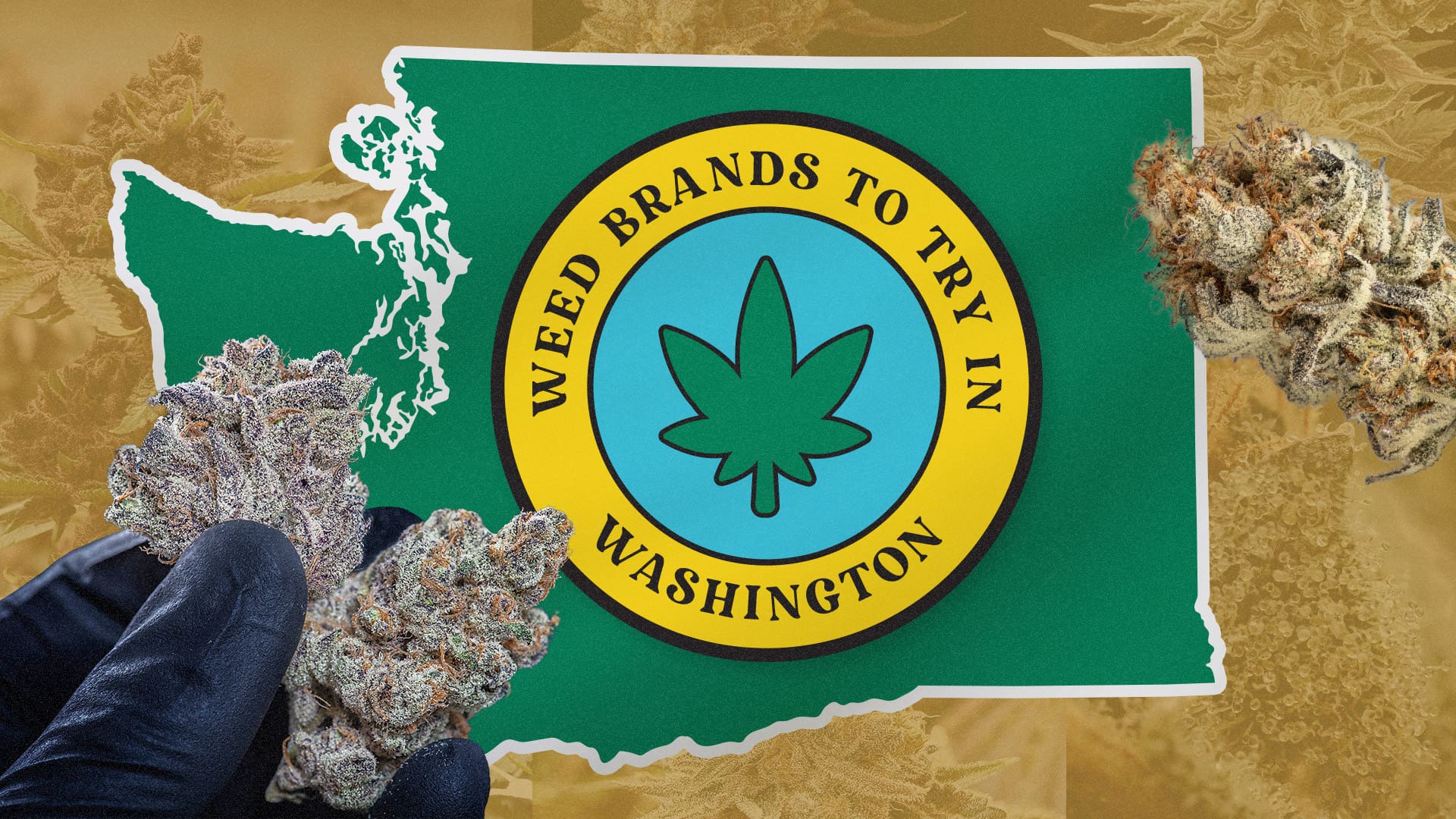 7 best Washington weed brands to smoke in 2023 High Desert Relief