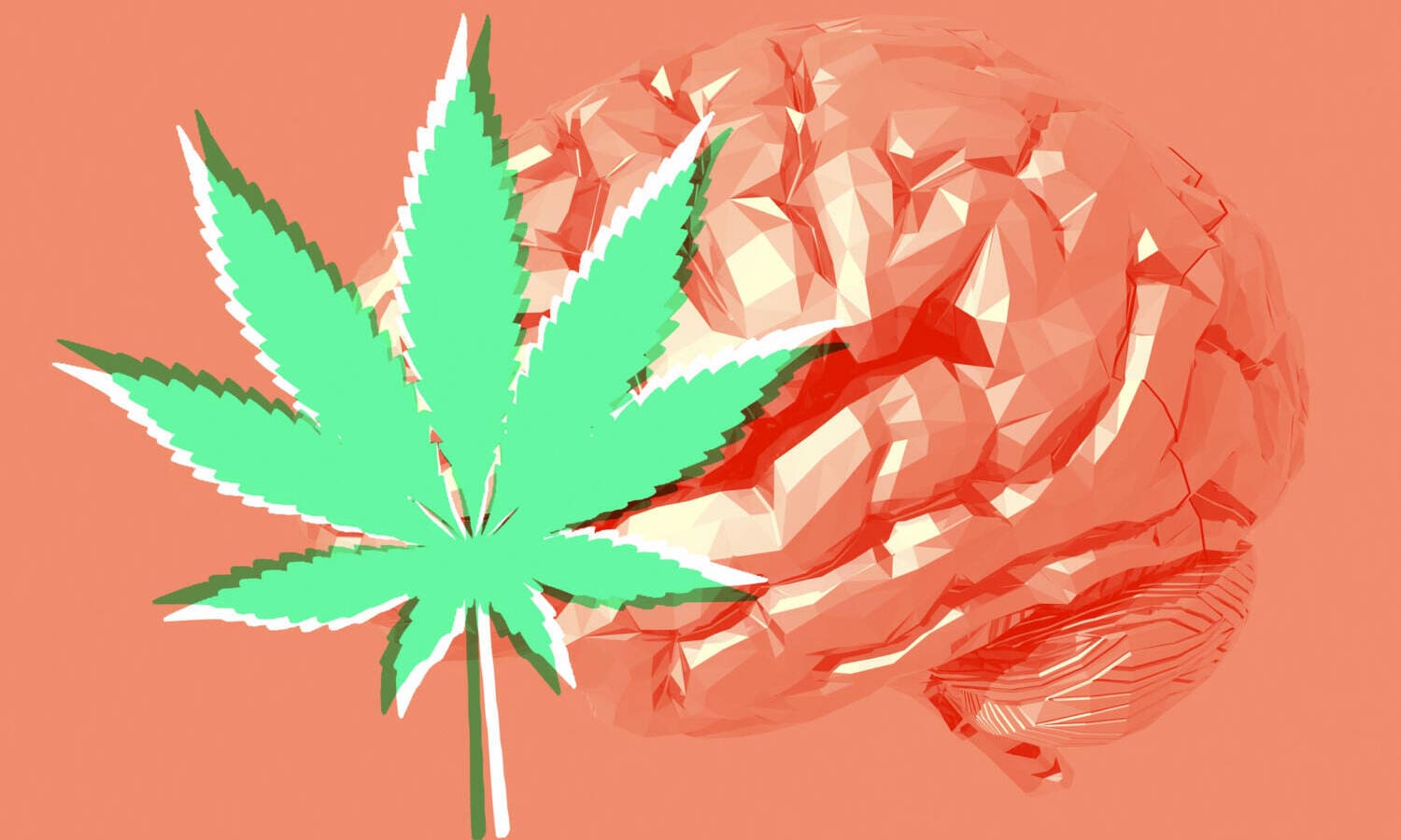 5 Things To Know About The Endocannabinoid System - High Desert Relief