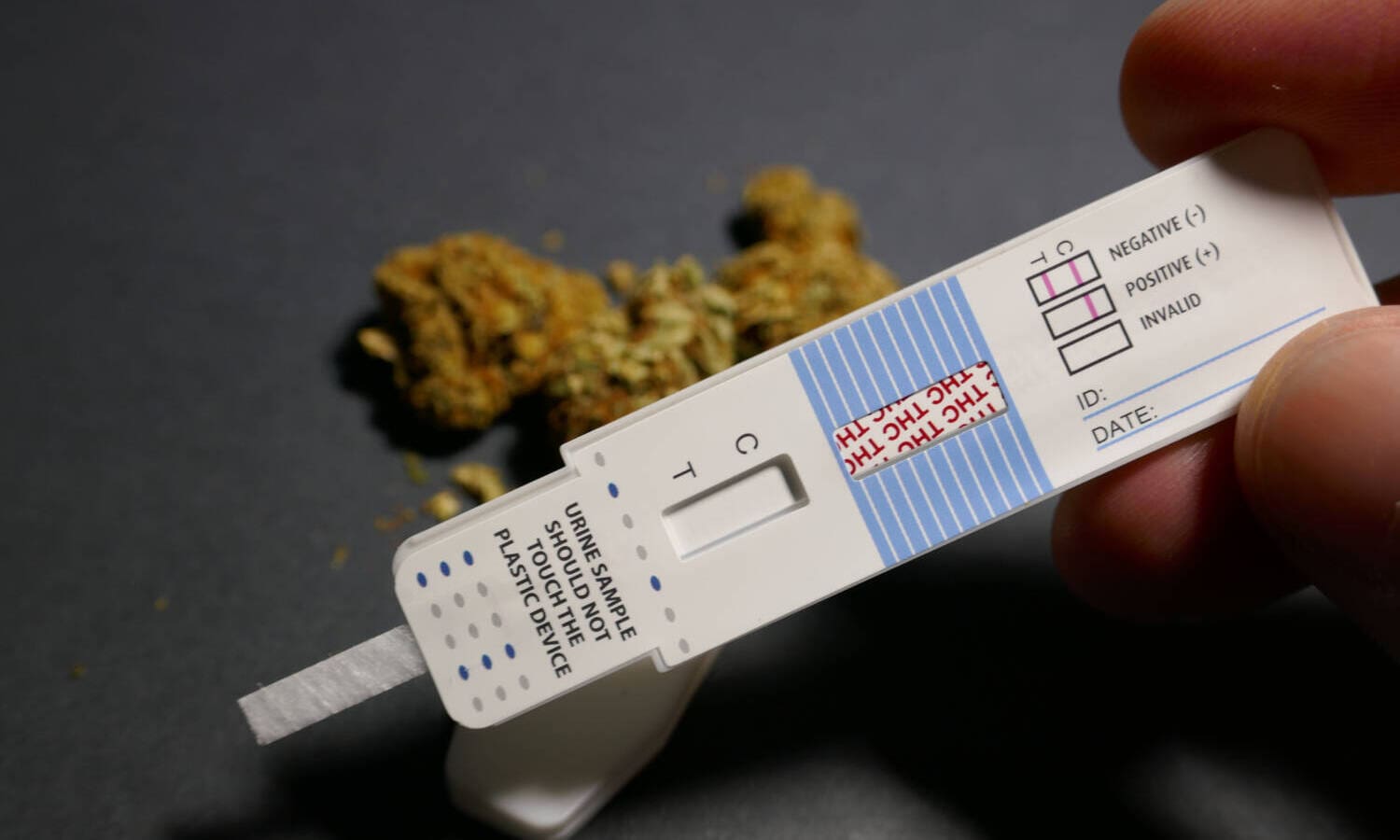 How To Detox Marijuana From Your System In 24 Hours High Desert Relief